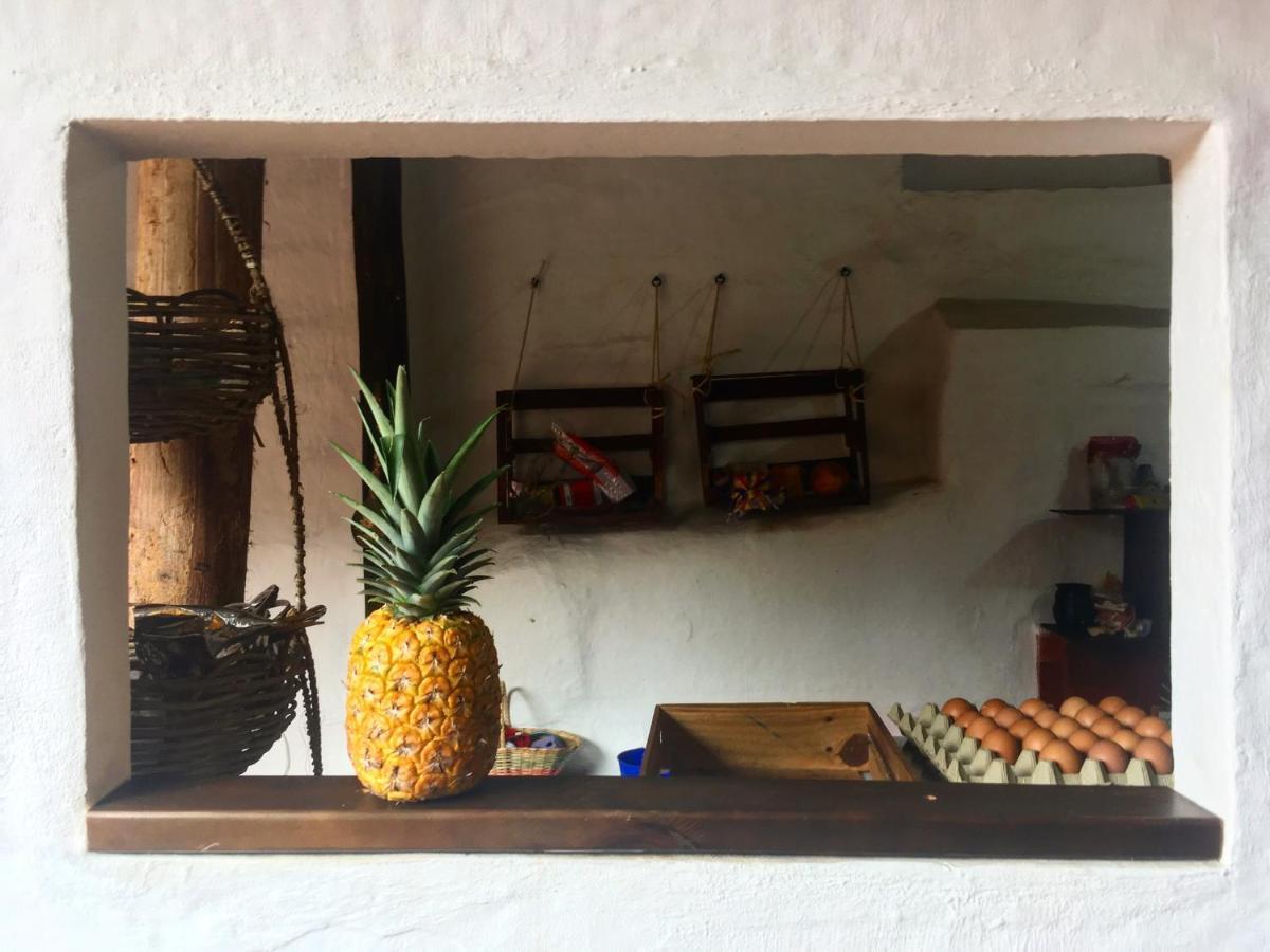 Nacuma Garden Hostel - Casa Nacuma Баричара Экстерьер фото