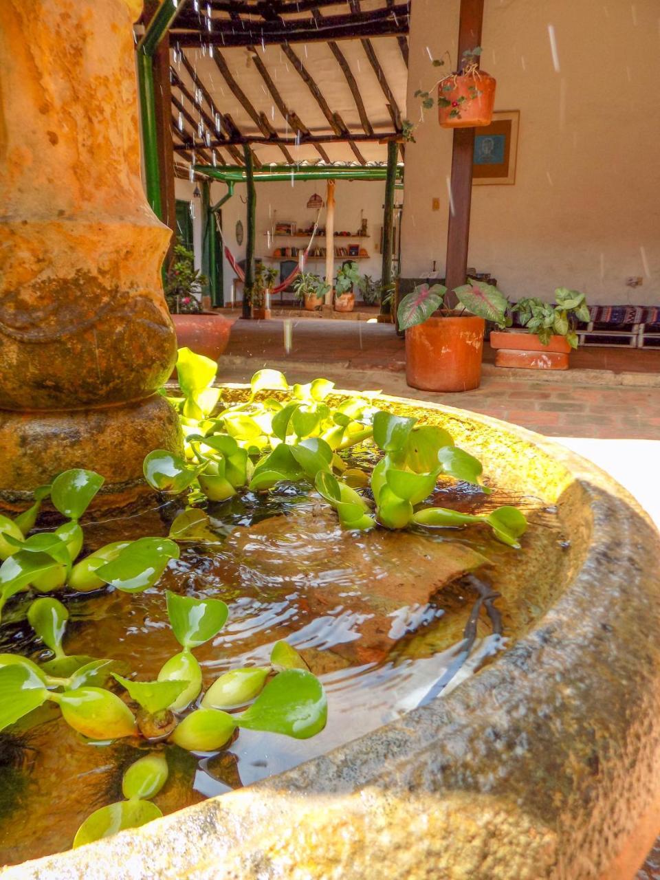 Nacuma Garden Hostel - Casa Nacuma Баричара Экстерьер фото